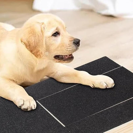 Dog Scratch Pad for Nails Scratching Board with Treat Box
