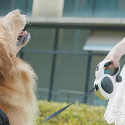5m Auto Retractable Dog Leash with LED Light Pet Walking Lead for Small Medium Large Dogs - M