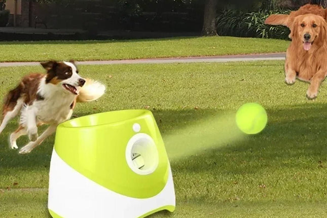 Dog Ball Launcher Thrower Automatic Tennis Fetch Throwing Machine with 3 Balls -Light Green – product detail