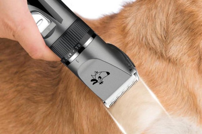 Pet Grooming Clippers Cat Grooming Kit Cordless Low Noise Pet Hair Clipper Trimmer Shaver for – product detail