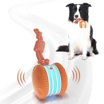 Interactive Pet Rolling Ball Toy Rechargeable Automatic Play Ball for Cats and Dogs - Orange