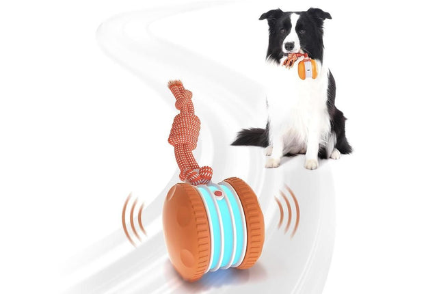 Interactive Pet Rolling Ball Toy Rechargeable Automatic Play Ball for Cats and Dogs