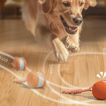 Interactive Pet Rolling Ball Toy Rechargeable Automatic Play Ball for Cats and Dogs - Orange