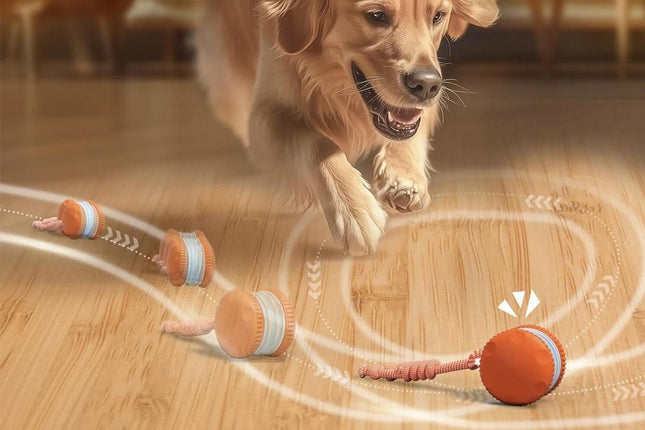 Interactive Pet Rolling Ball Toy Rechargeable Automatic Play Ball for Cats and Dogs – product detail