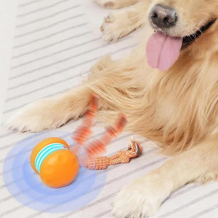 Interactive Pet Rolling Ball Toy Rechargeable Automatic Play Ball for Cats and Dogs - Orange