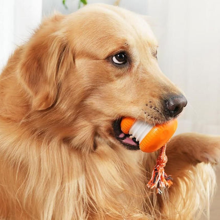 Interactive Pet Rolling Ball Toy Rechargeable Automatic Play Ball for Cats and Dogs - Orange