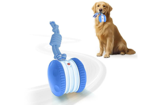Interactive Pet Rolling Ball Toy Rechargeable Automatic Play Ball for Cats and Dogs