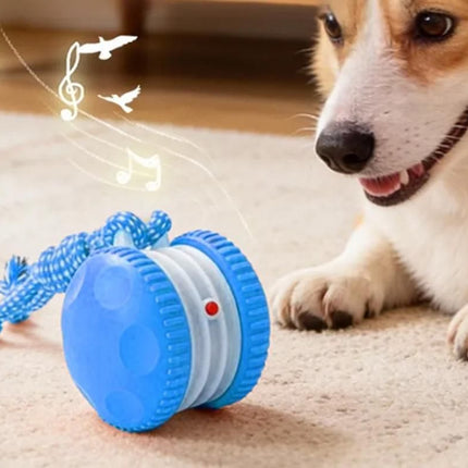 Interactive Pet Rolling Ball Toy Rechargeable Automatic Play Ball for Cats and Dogs - Blue