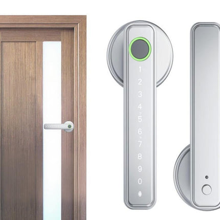 5 in 1 Smart Door Lock Fingerprint Door Knob with IC Cards and Backup Keys - Silver