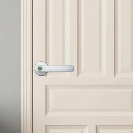5 in 1 Smart Door Lock Fingerprint Door Knob with IC Cards and Backup Keys - Silver