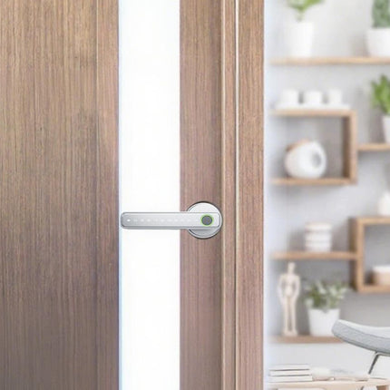 5 in 1 Smart Door Lock Fingerprint Door Knob with IC Cards and Backup Keys - Silver