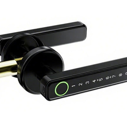 5 in 1 Smart Door Lock Fingerprint Door Knob with IC Cards and Backup Keys - Black