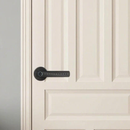 5 in 1 Smart Door Lock Fingerprint Door Knob with IC Cards and Backup Keys - Black