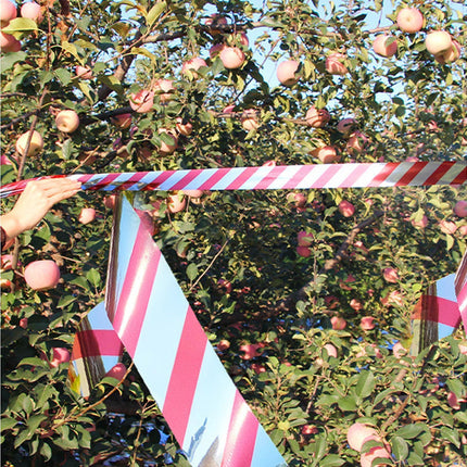 10Pcs Bird Repellent Ribbon Double Side Tape - Silver&Red