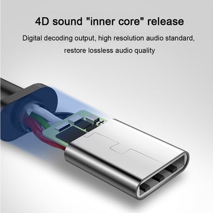 In-Ear Headphones - Type-C Connection - Wired Earphones with Mic and Noise Isolating Sound