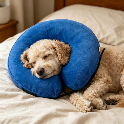 Inflatable Dog Cone Collar Alternative, Soft Dog Cone for Small Medium Large Dogs and Cats, Neck Recovery ECollar After Surgery,M