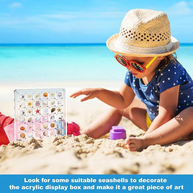 Acrylic Magnetic Seashell Display Box Clear Sea Shell Display Box Beach Magnet Storage Organizer Case – product detail