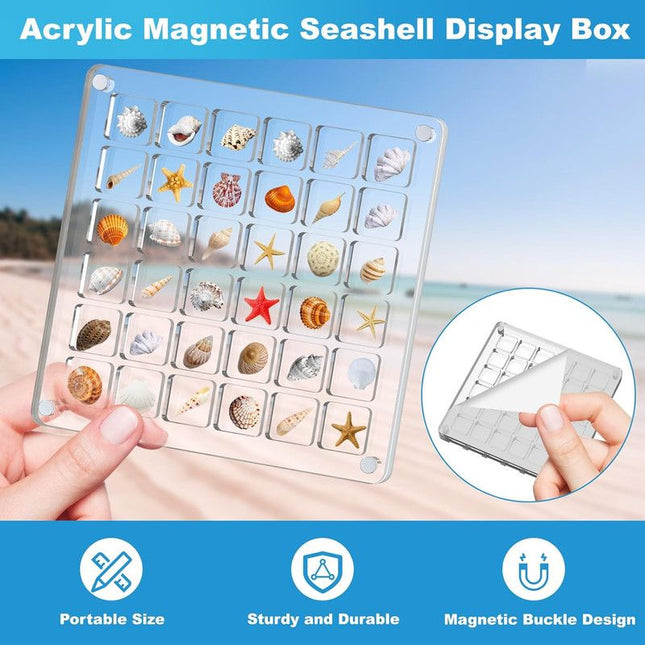 Acrylic Magnetic Seashell Display Box Clear Sea Shell Display Box Beach Magnet Storage Organizer Case
