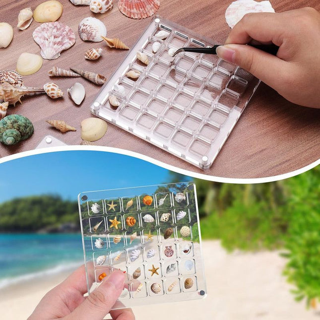 Acrylic Magnetic Seashell Display Box Clear Sea Shell Display Box Beach Magnet Storage Organizer Case – product detail