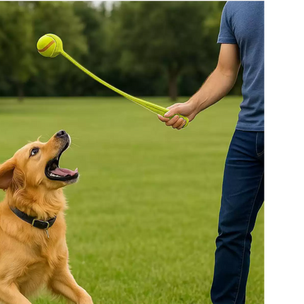 Dog Ball Launcher Outdoor Interactive Tennis Ball Thrower for Pets