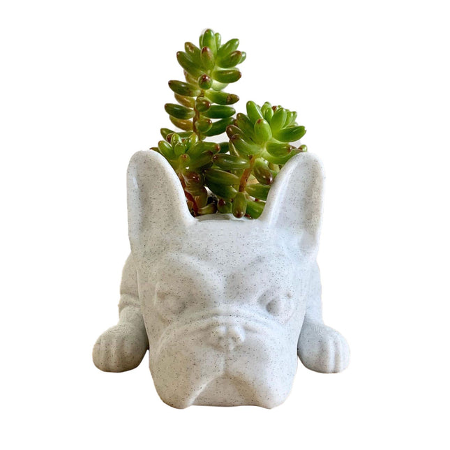 Puppy Pot Decoration Resin Pot Dog Flower Plant Pot – product detail