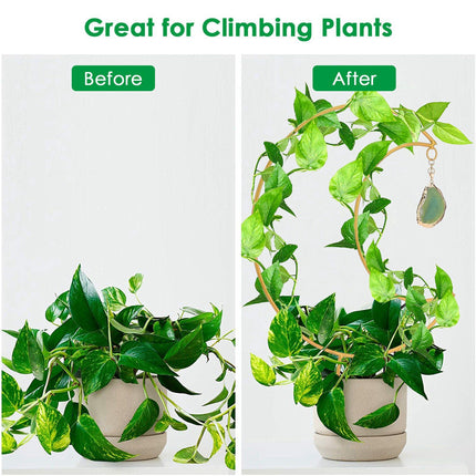 Plant Climbing Frame Climbing Vine Iron Flower Frame Moon Bracket Plant Trellis