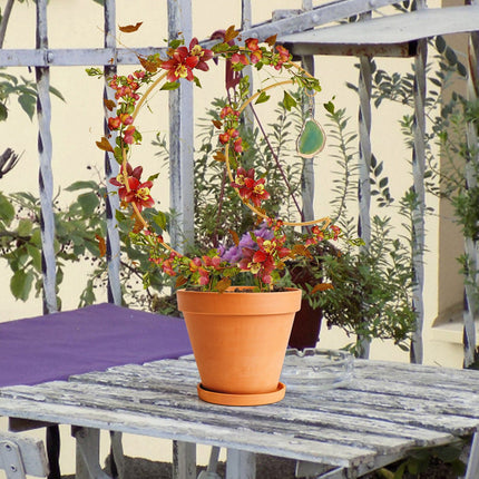 Plant Climbing Frame Climbing Vine Iron Flower Frame Moon Bracket Plant Trellis