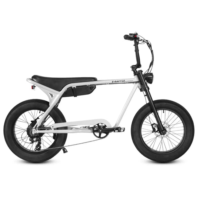 Progear E-Raptor 20 Electric Street Bike – product detail