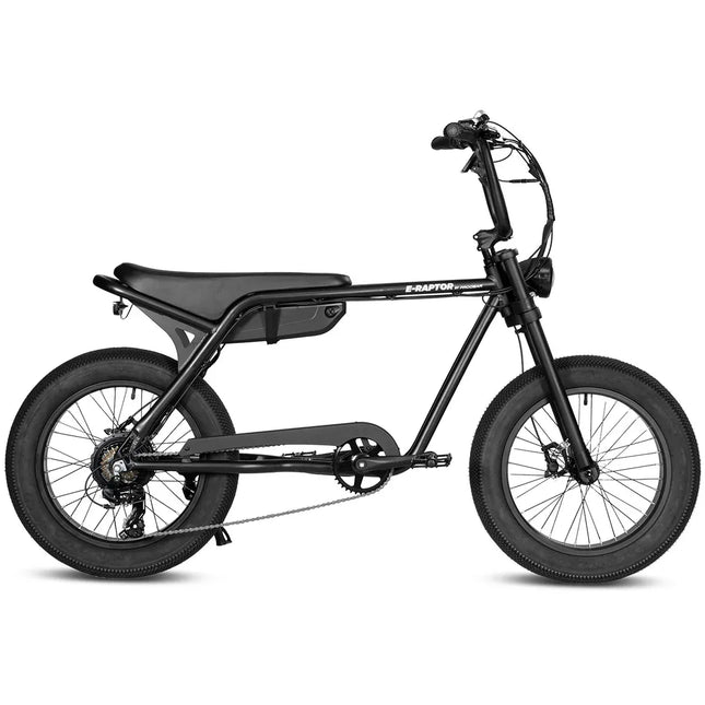 Progear E-Raptor 20 Electric Street Bike – product detail
