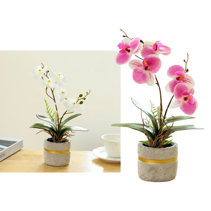 Set 2 Artificial Orchid in Cement Pot 27cm