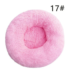 Collection image for: Dog Beds