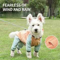 Collection image for: Dog Apparel