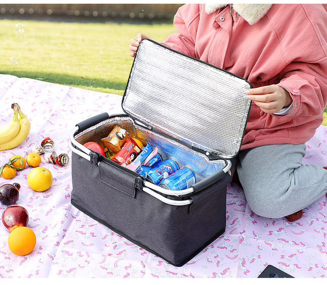 Insulated Picnic Basket with Aluminum Frame – product detail