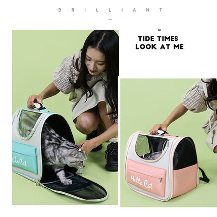 Blue Transparent Pet Carrier Backpack for Cats and Small Dogs