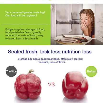 Purple Round Plastic Food Storage Containers Set - Microwave-Safe Bento Boxes with Airtight Lids for Kitchen and Fridge
