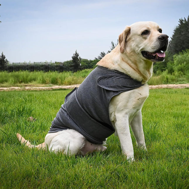 XXXL Dog Vest Jacket