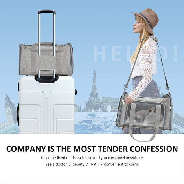 L Pink Portable Foldable Pet Carrier – product detail