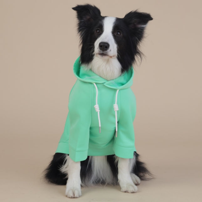 3XL Green Cute Dog Hoodie with Adjustable Drawstring