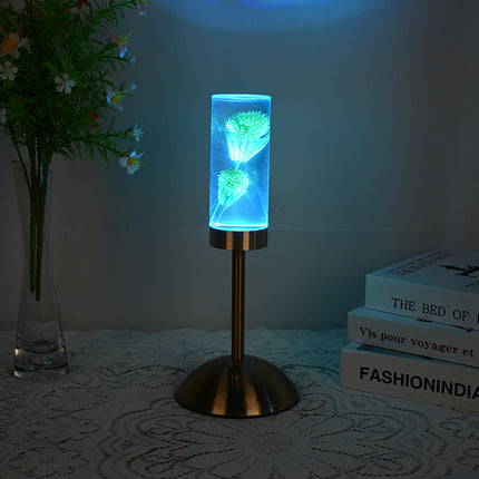 Dandelion Grass Eternal Flower Acrylic Table Lamp - Color-Changing LED, USB Rechargeable, Touch Control
