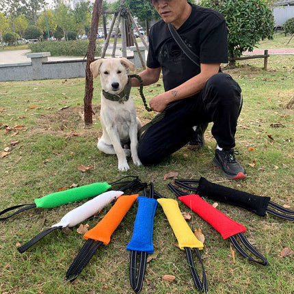 Black Durable 2-Pack Tug-of-War Dog Training Toy - Tear-Resistant, Safe & Interactive for All Breeds