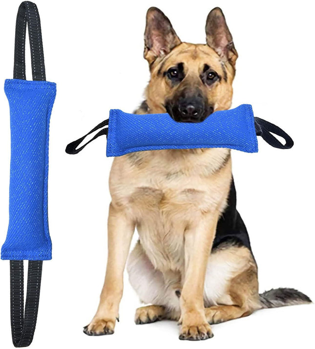 Blue Durable 2-Pack Tug-of-War Dog Training Toy