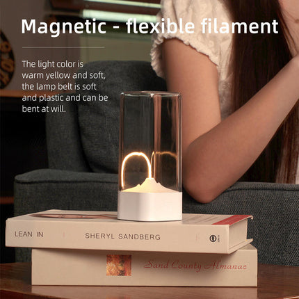 Silver Portable Magnetic Table Lamp with Bendable LED - USB-C Rechargeable