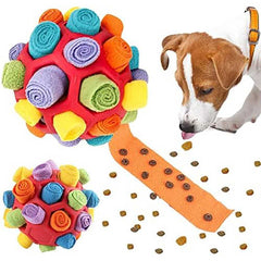 Collection image for: Cat Toys