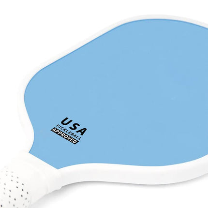 Dark Blue Fiberglass Pickleball Paddle Set - 2 Minimalist Paddles, 4 Balls, and Carry Bag for Outdoor Play