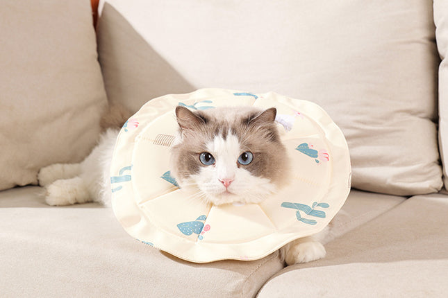 2 Pcs Size M Beige Comfortable Pet Recovery Collar Waterproof Anti-Lick Collar for Cats & Dogs