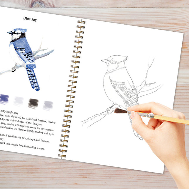 Bird 2-Pack Watercolor Painting Set – product detail
