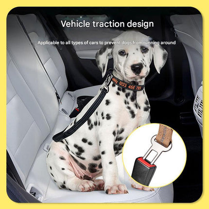 Black Shock Absorbing Dog Leash with Reflective Stitching - 135cm for Small to Large Dogs