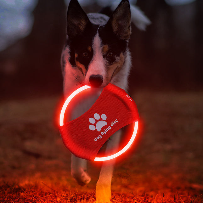 Orange LED Rechargeable Dog Flying Disc – product detail