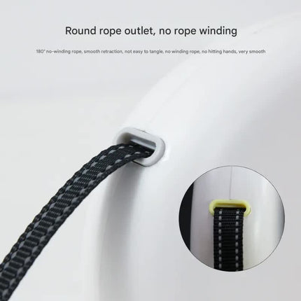 Retractable Dog Leash - Reflective Pet Lead with 3m Extension, One-Button Control(Green)