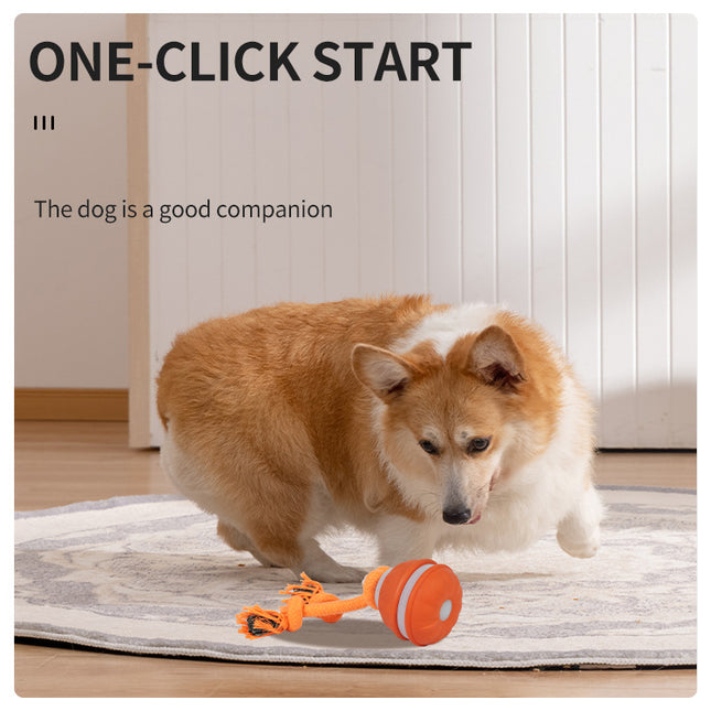 Interactive Dog Chew Toy with Rope – product detail